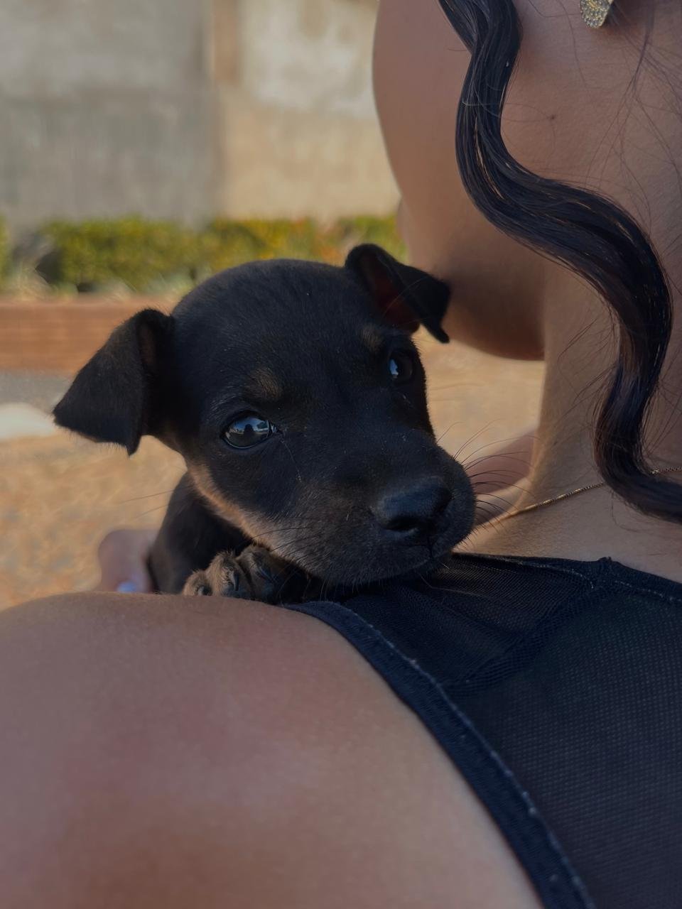 Foto de Theo