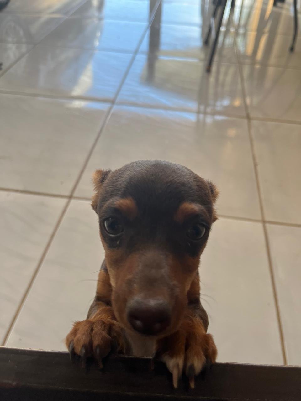 Foto de Maggie