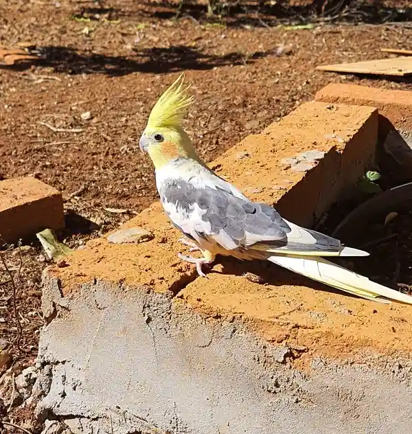 Foto de José